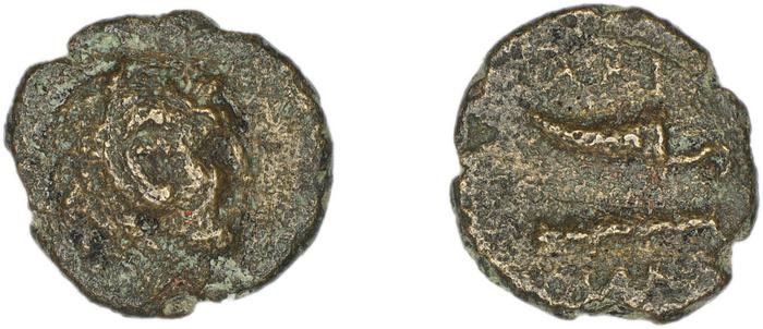 реверс Halicarnassus BMC Halicarnassus 38-42