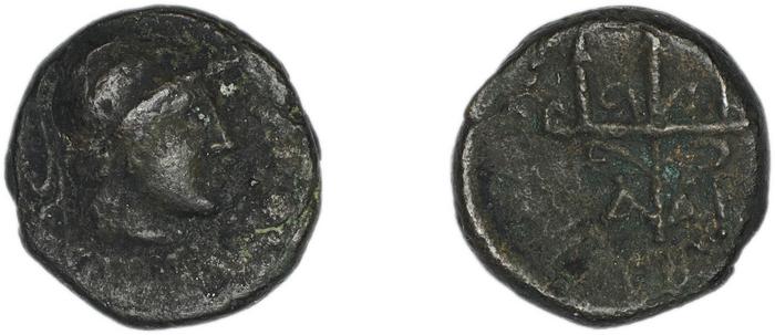 реверс Halicarnassus BMC Halicarnassus 66-67