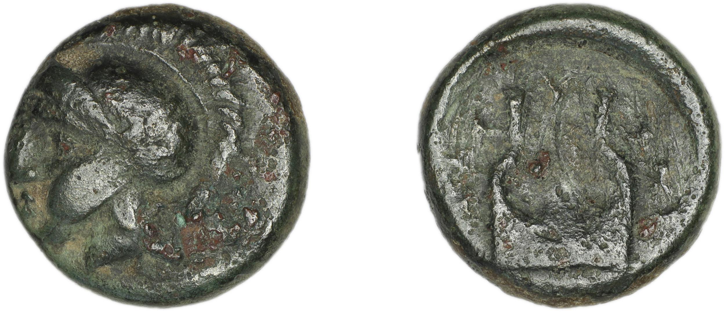 Calymna BMC Calymna 13-26, аверс, bm