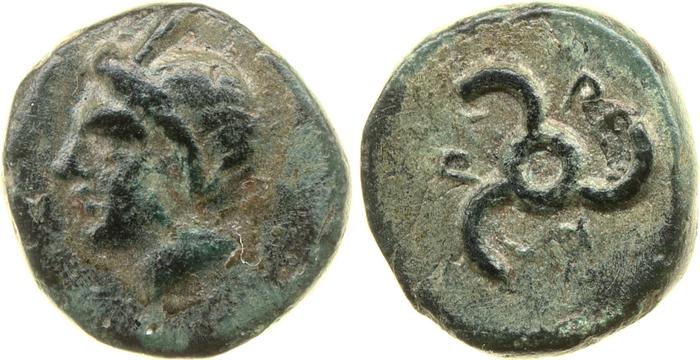 Perikles Lycia Hoff 2017 M244, реверс, bm