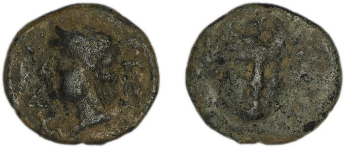 Patara BMC Patara 9-10, реверс, bm