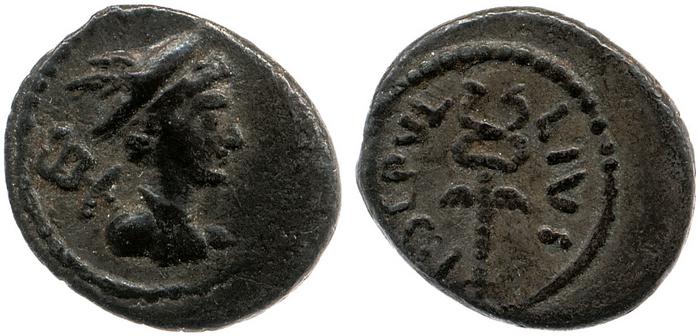 coin rev