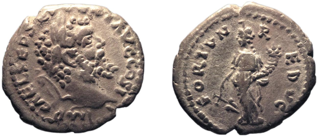 аверс RIC IV Septimius Severus 377