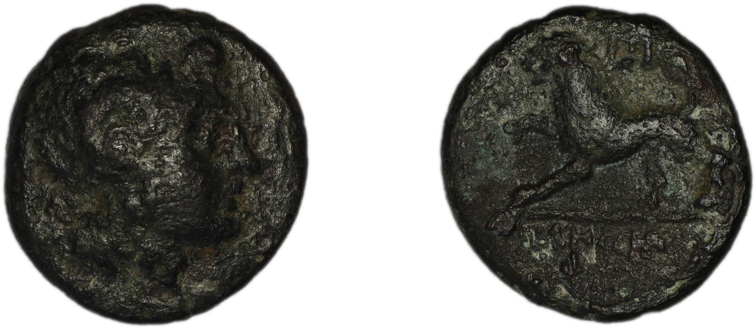 Telmessus Tek 2006 1, аверс, bm