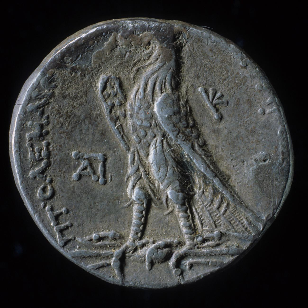 аверс Coins of the Ptolemaic Empire Vol. I, Part 1, no. 681
