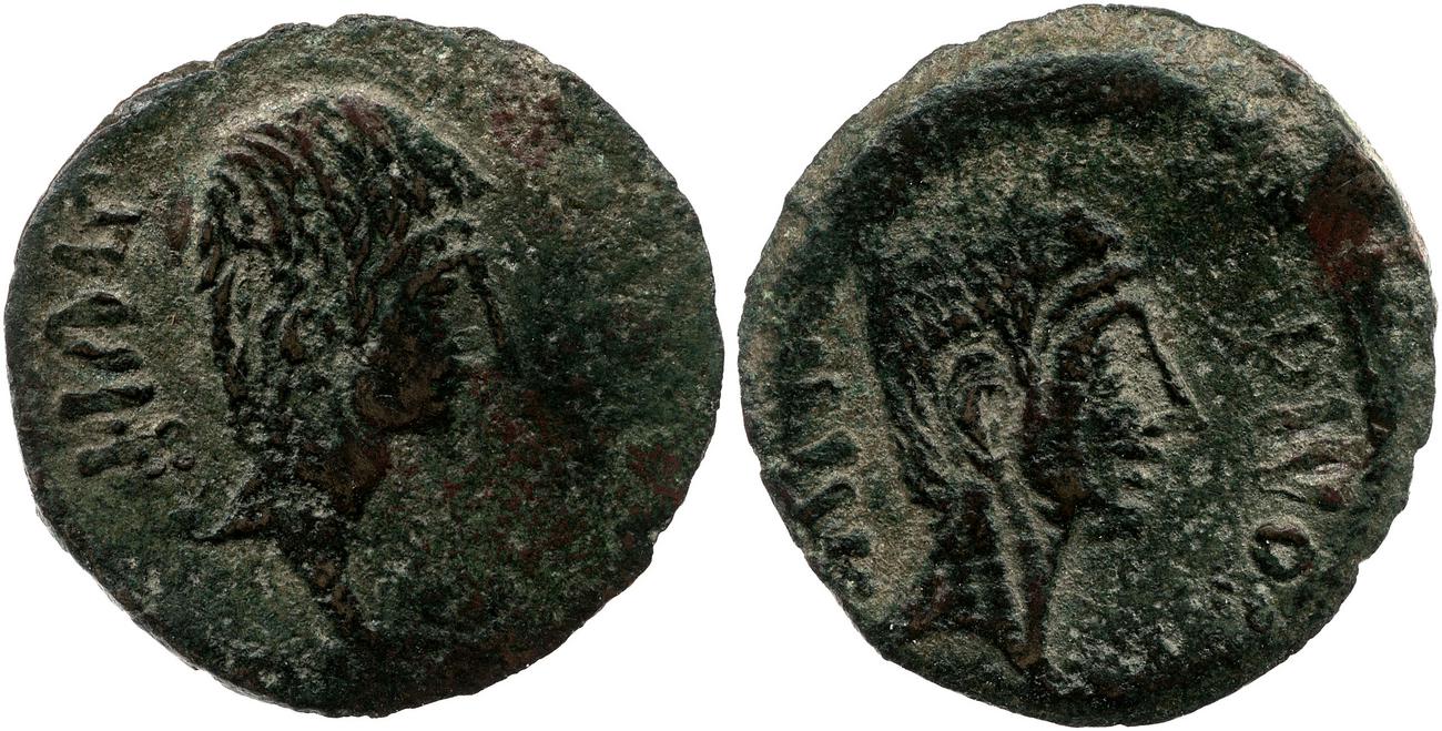 coin obv