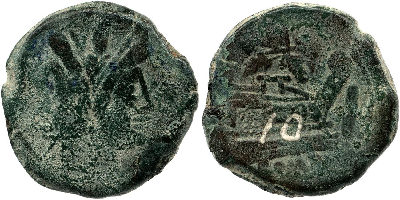 coin obv