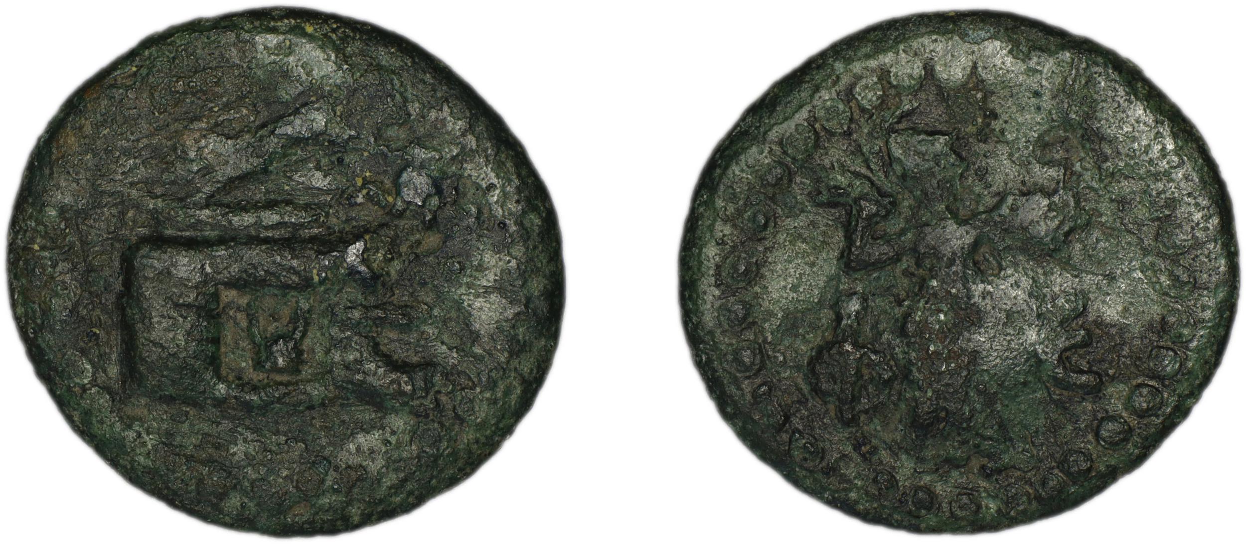 Phaselis Heipp-Tamer 1993 AE 2, аверс, bm
