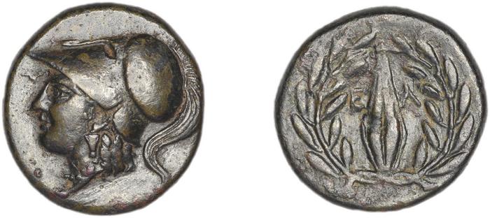 reverse Elaea BMC Elaea 6