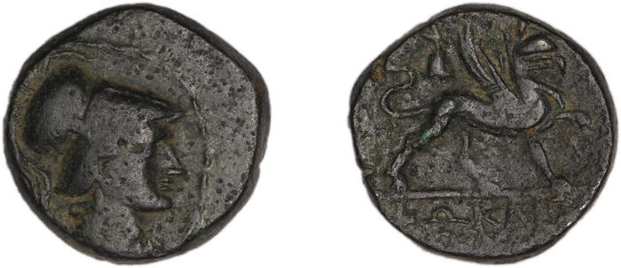 реверс Phocaea BMC Phocaea 109-13