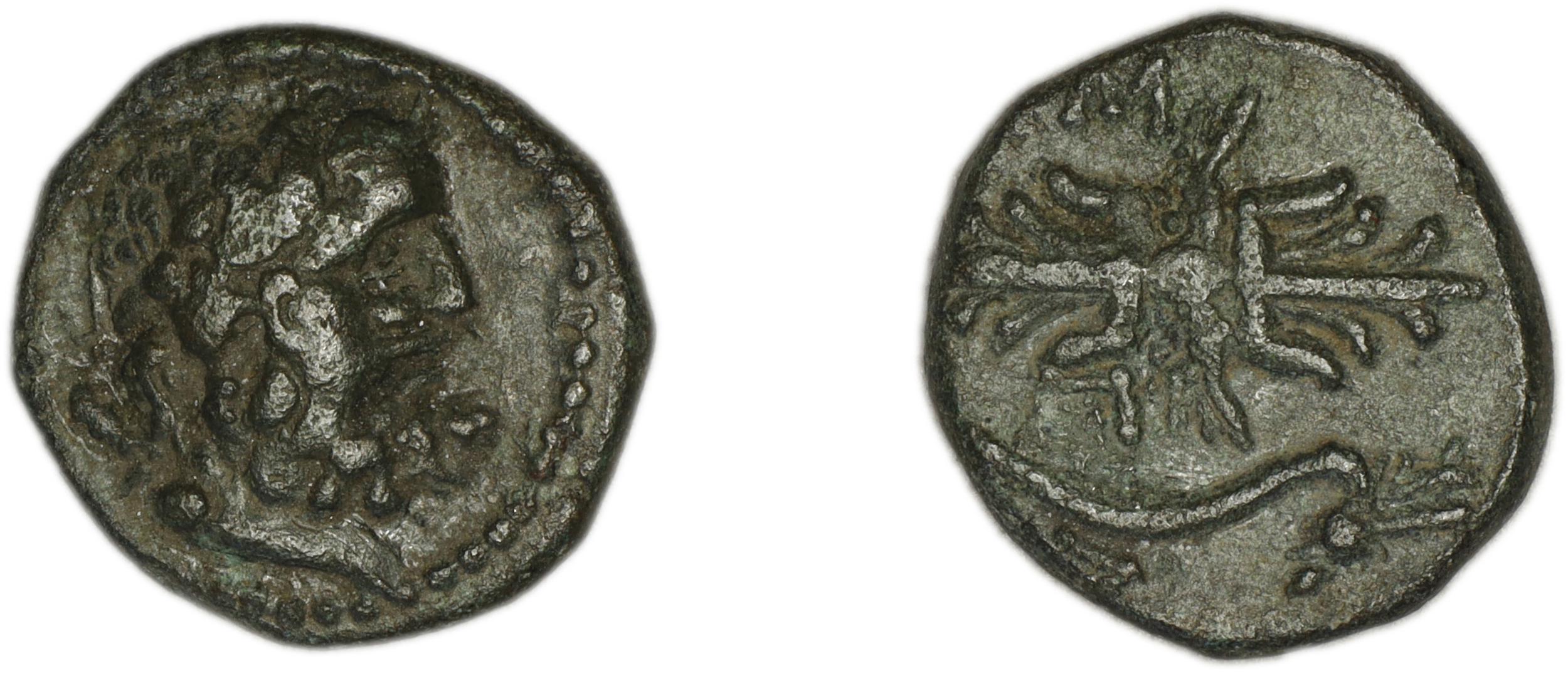 Selge SNG Paris 1978-92, аверс, bm