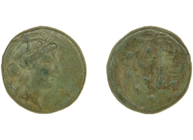 Sardis Hochard 2020 4.10, реверс, bm