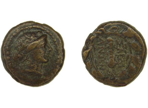 Sardis Hochard 2020 4.10, реверс, bm