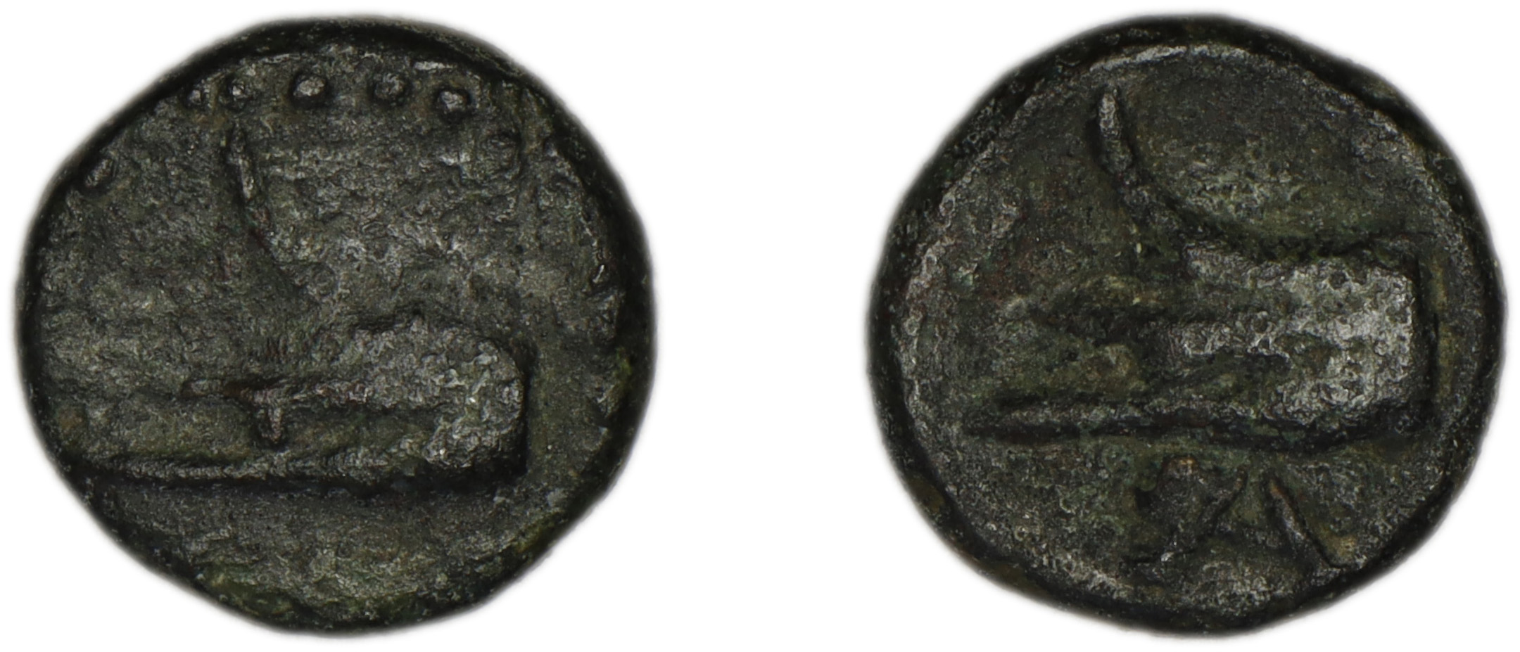 Phaselis Heipp-Tamer 1993 AE 1, аверс, bm
