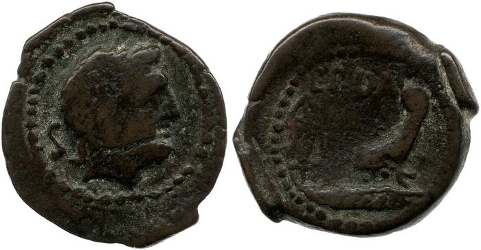 RRC 338/2, реверс, bm