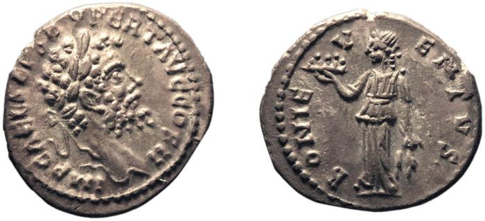 реверс RIC IV Septimius Severus 369