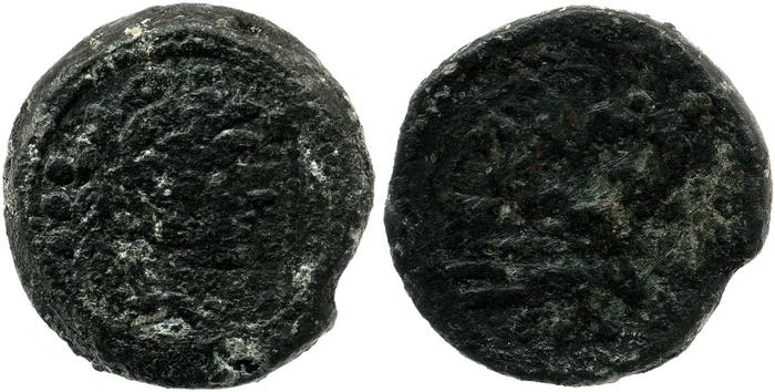coin rev