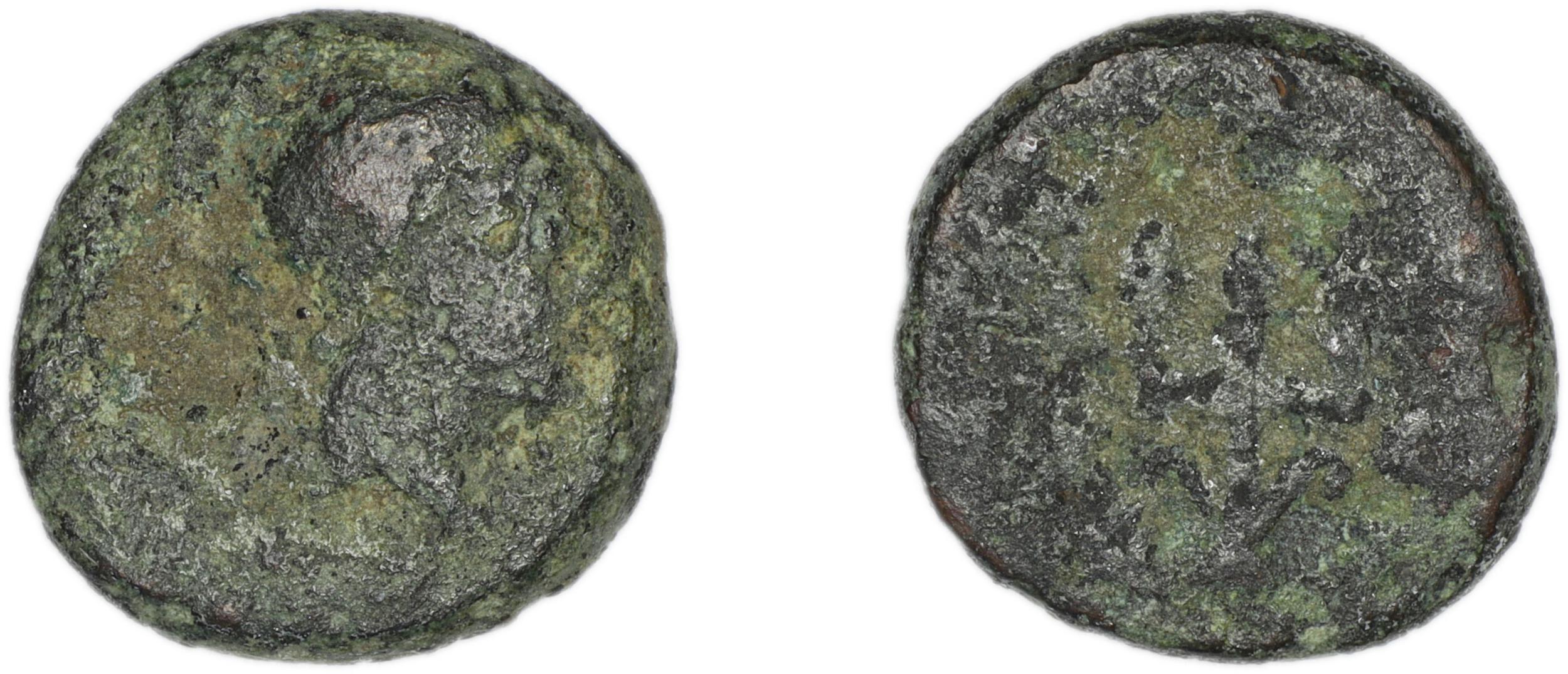 Halicarnassus BMC Halicarnassus 66-67, аверс, bm