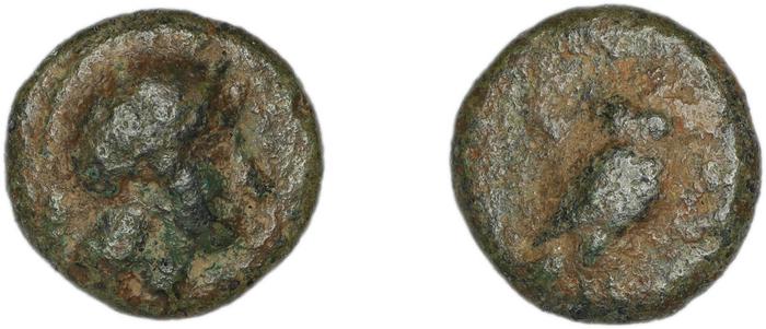реверс Halicarnassus BMC Halicarnassus 68-71
