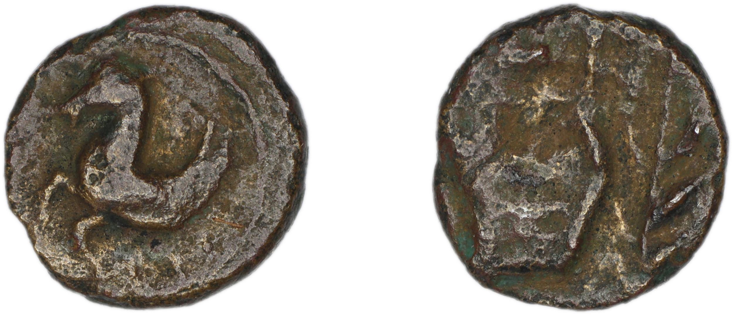 Halicarnassus Ashton 2006 pl. 2, 16, аверс, bm