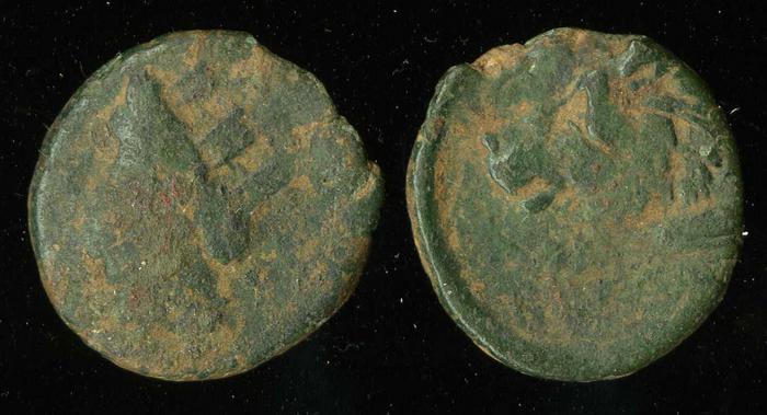 Cnidus Nordbø 1972 Series 17, реверс, bm