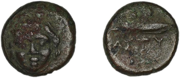 реверс Astypalaea BMC Astypalaea 9-10