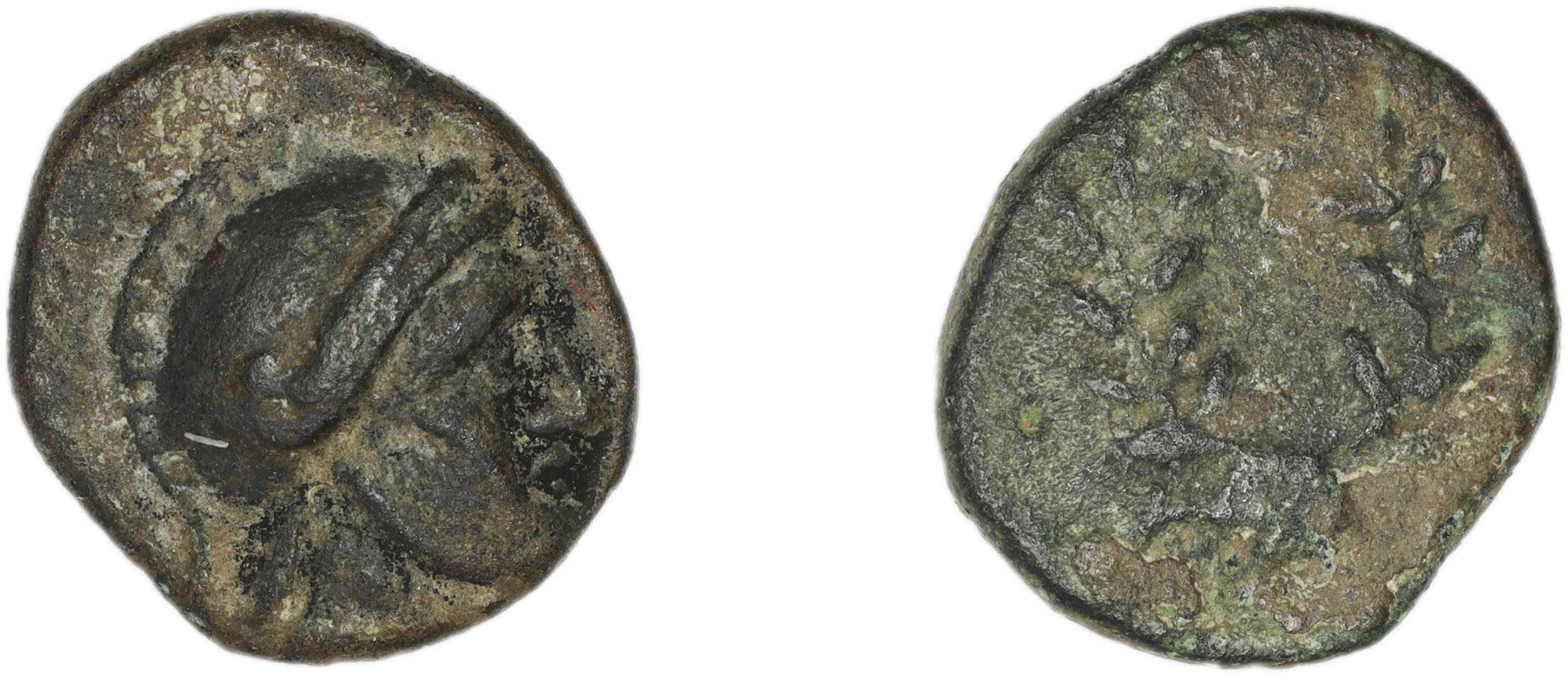 Calymna BMC Calymna 30-36, аверс, bm