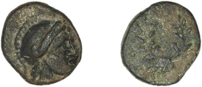 Calymna BMC Calymna 30-36, реверс, bm