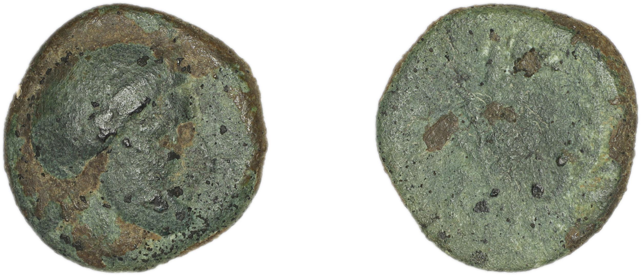Calymna BMC Calymna 30-36, аверс, bm