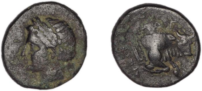 Magnesia ad Maeandrum BMC Magnesia 17-18, реверс, bm