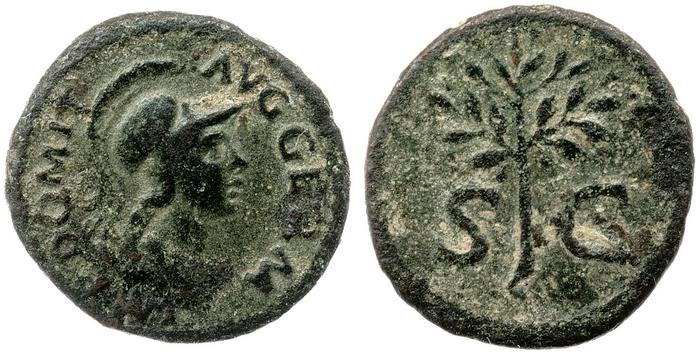 реверс RIC II, Part 1 (second edition) Domitian 241