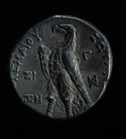 Coins of the Ptolemaic Empire Vol. I, Part 1, no. 817, реверс, bm