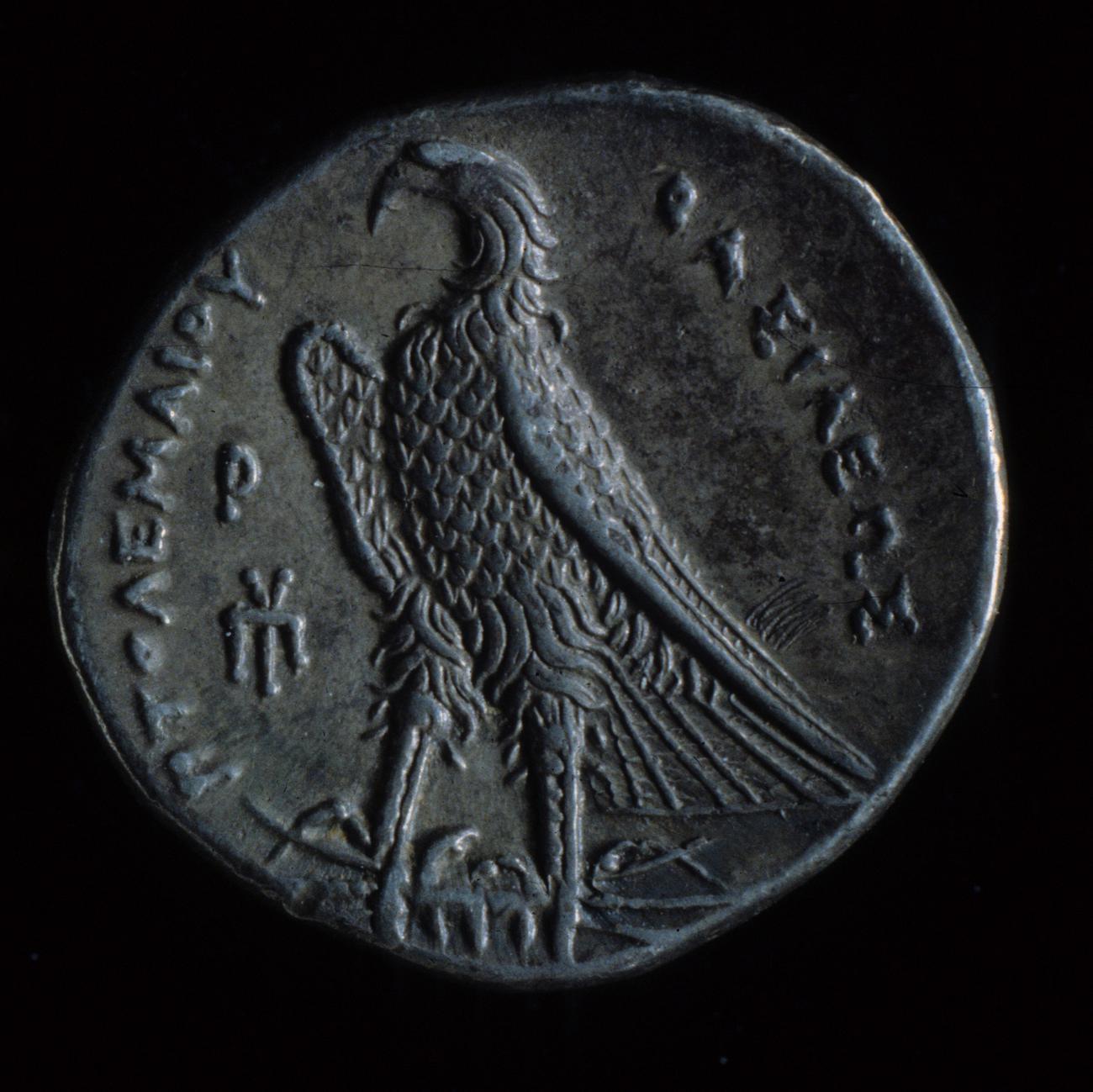аверс Coins of the Ptolemaic Empire Vol. I, Part 1, no. 527