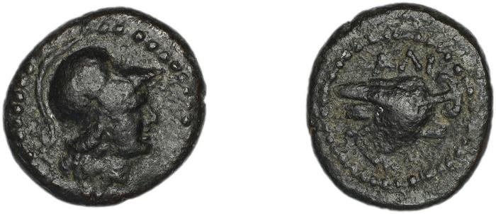 реверс Halicarnassus BMC Halicarnassus 68-71