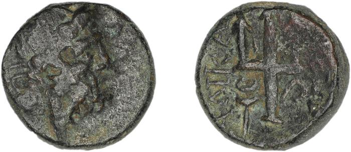 реверс Halicarnassus BMC Halicarnassus 20-37
