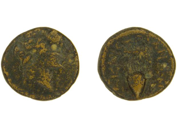 Caystriani BMC Caystriani 6-9, реверс, bm