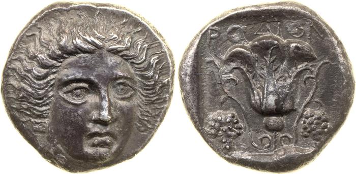 reverse Rhodes Ashton 2001 7-9