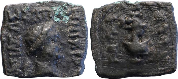 Nicias of Bactria obv