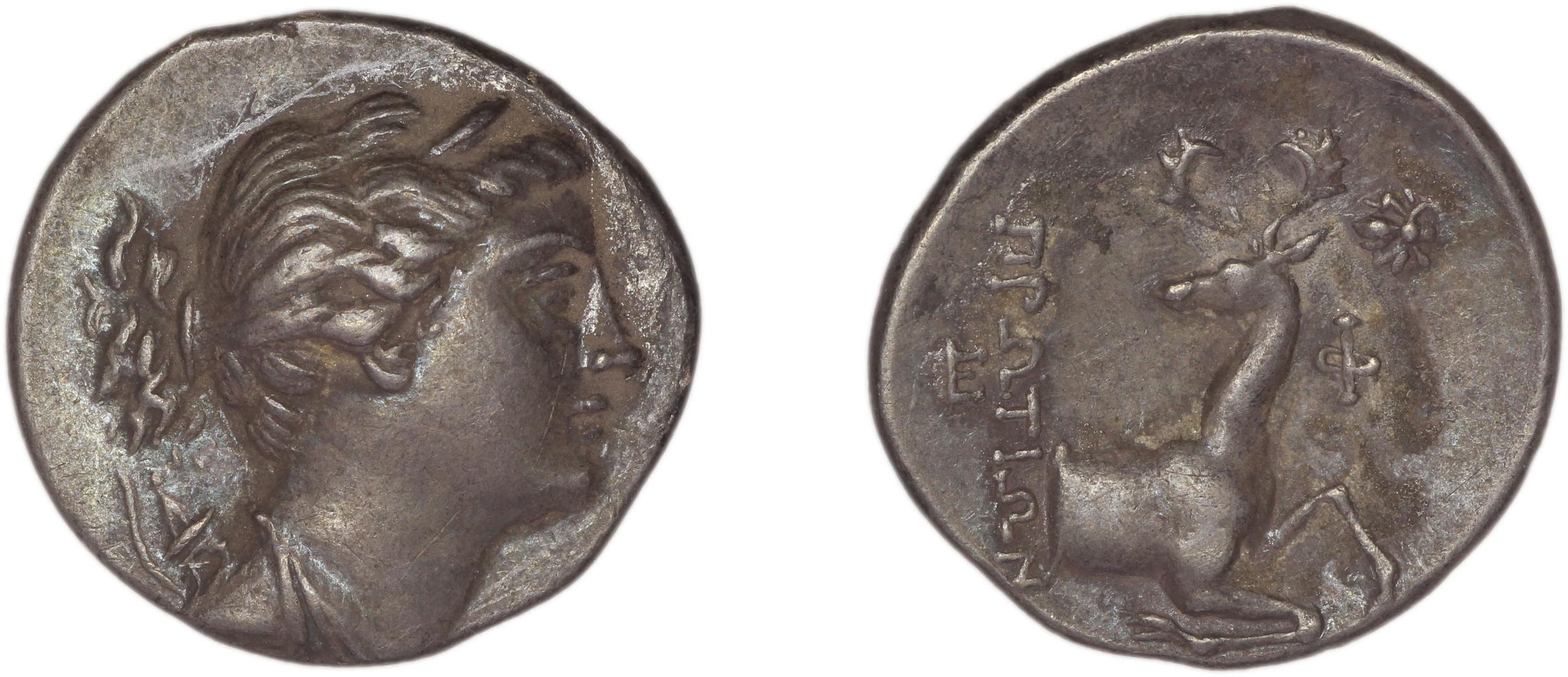 Ephesus Kinns and Holt 2023 Period IV, AR XVIII, аверс, bm