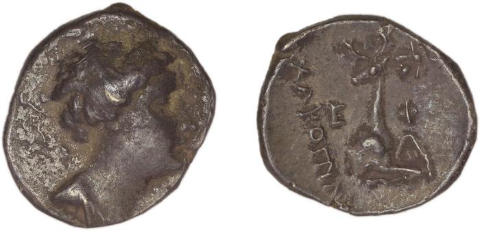 Ephesus Kinns and Holt 2023 Period IV, AR XVIII, реверс, bm