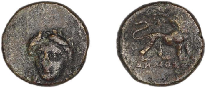 coin rev