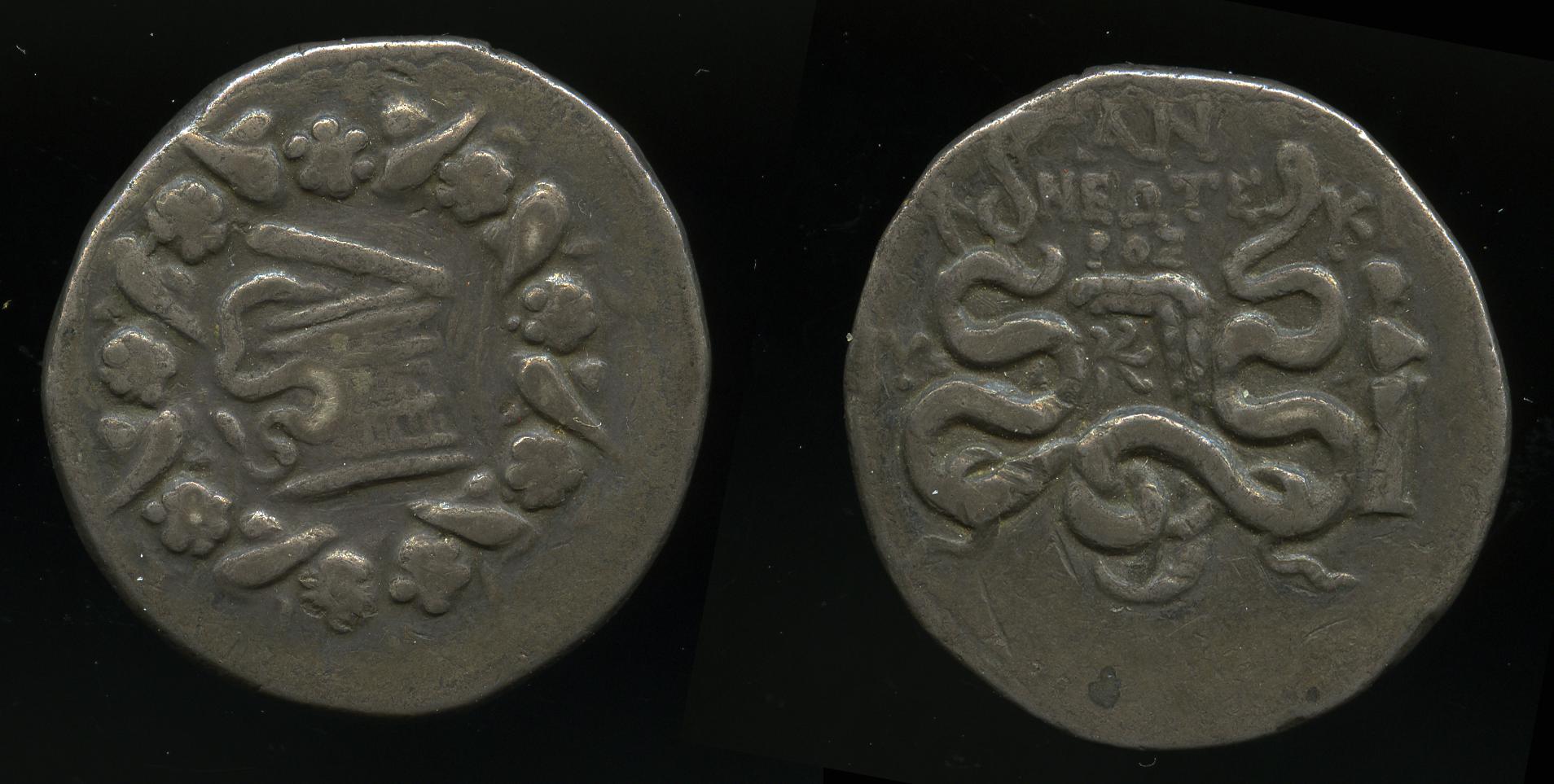 obverse Nysa Metcalf 2015 33-49