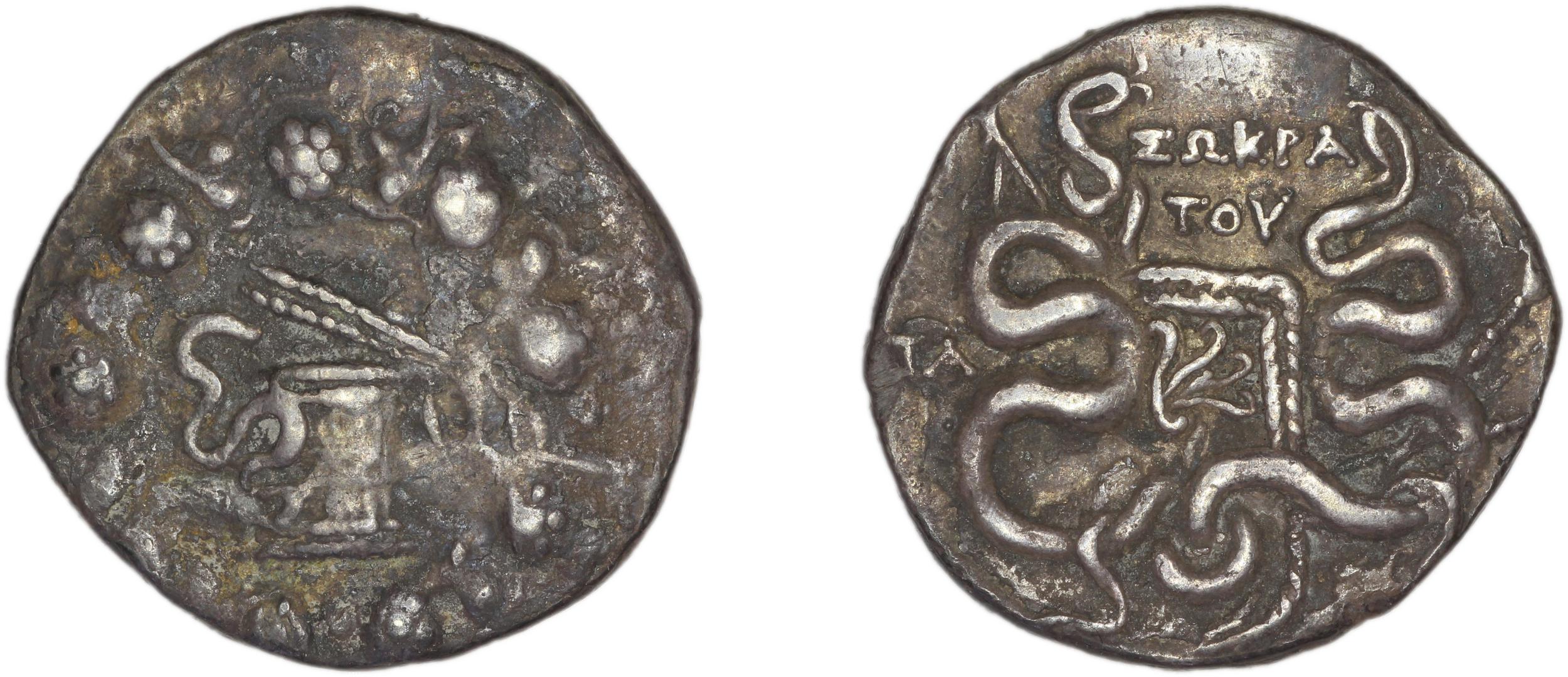 аверс Apamea in Phrygia Kleiner 1979 XXII