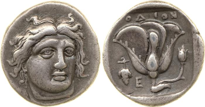 reverse Rhodes Ashton 2001 95-9