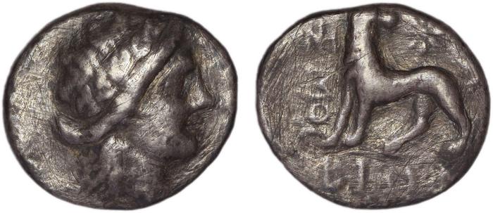 реверс Miletus Marcellesi 2004 52