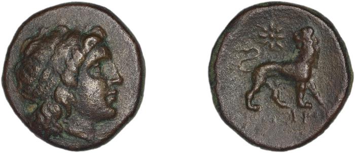 реверс Miletus Marcellesi 2004 9
