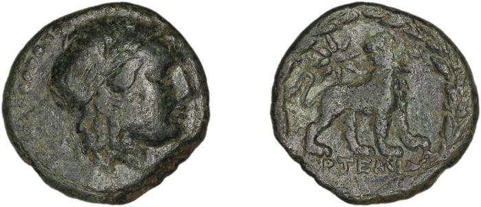 coin rev