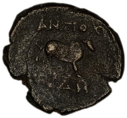 Antioch of Pisidia Imhoof-Blumer 1901-2 p. 357, 2-5, реверс, bm