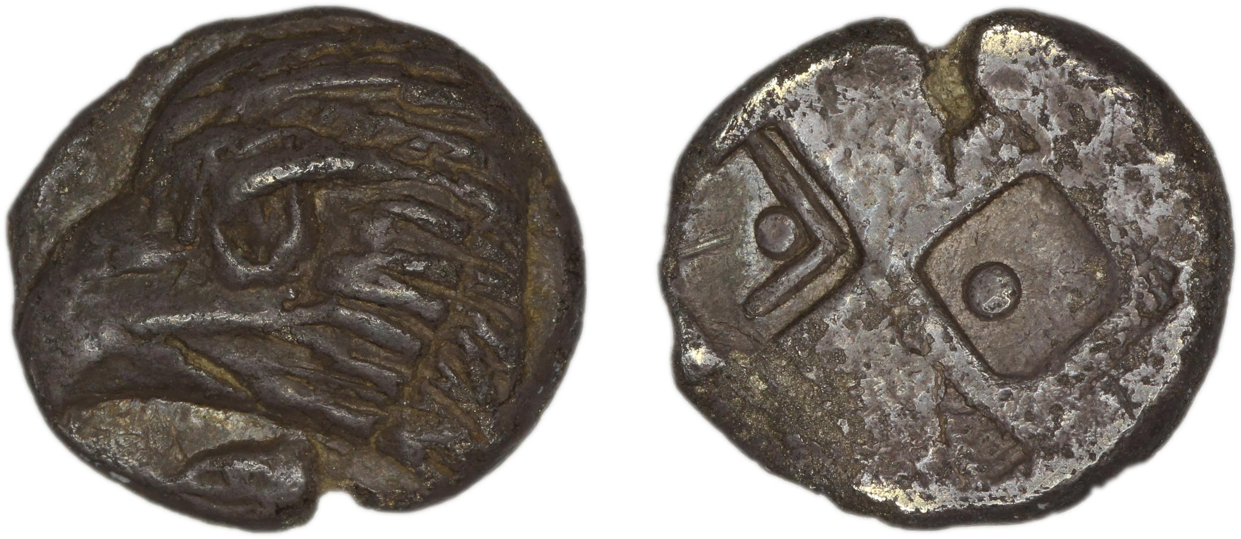 аверс Sinope Waddington 1925 11-14