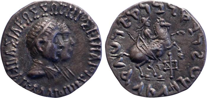 Calliope bactria rev